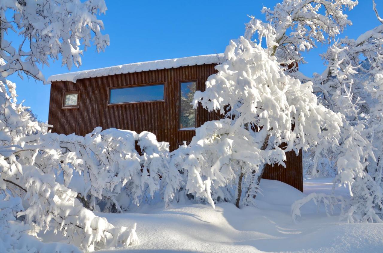 Chalet Cipres Las Trancas Ngoại thất bức ảnh